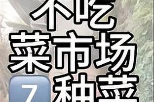 无解❗️勒沃库森48场不败刷新纪录？追平1965年本菲卡传奇战绩